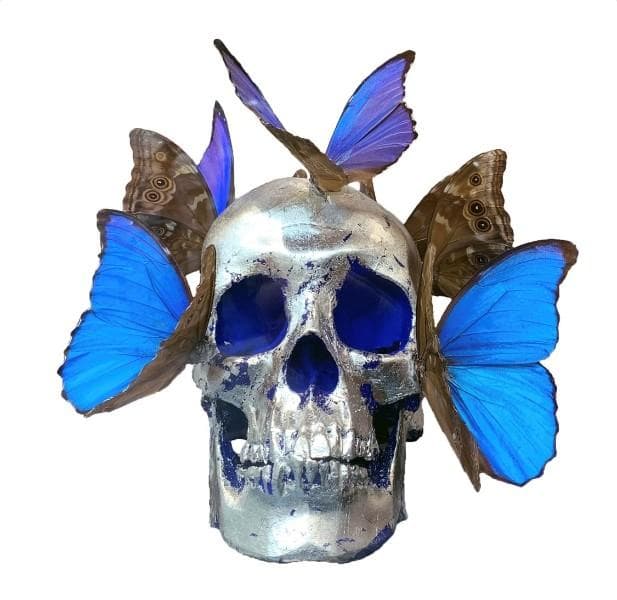 Vanitas (depuis 1990)